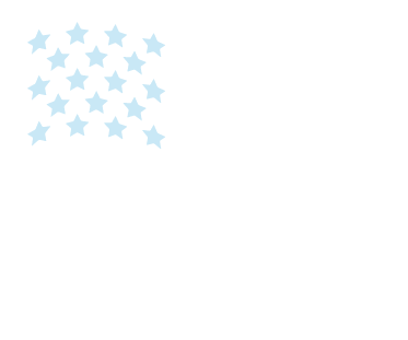 US Flag